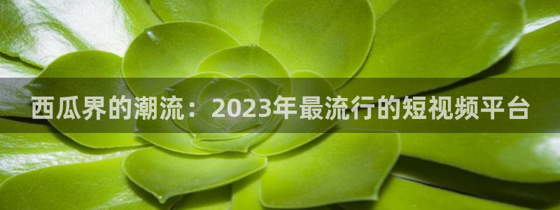 麻豆说电影：西瓜界的潮流：2023年最流行的短视频平台