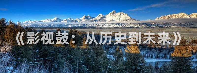 国产片麻豆：《影视鼓：从历史到未来》