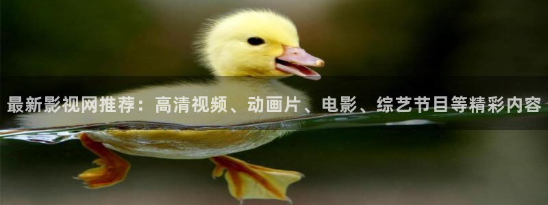 日韩麻豆电影：最新影视网推荐：高清视频、动画片、电影、综艺节目等精彩内容