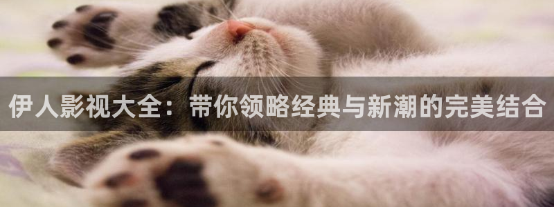 91麻豆电影在线播放：伊人影视大全：带你领略经典与新潮的完美结合