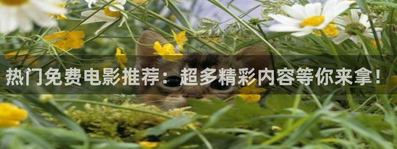 可以试看的麻豆影院：热门免费电影推荐：超多精彩内容等你来拿！