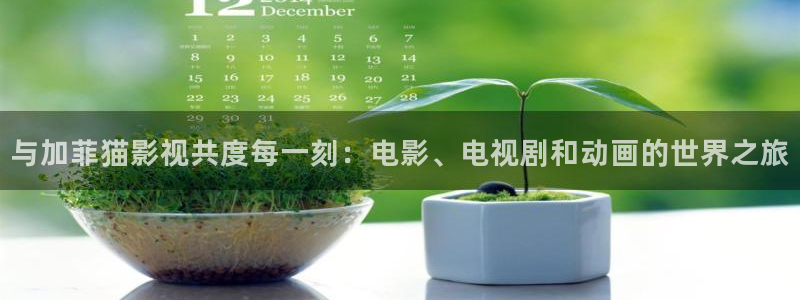 国产成a人片在线观看麻豆ai：与加菲猫影视共度每一刻：电影、电视剧和动画的世界之旅