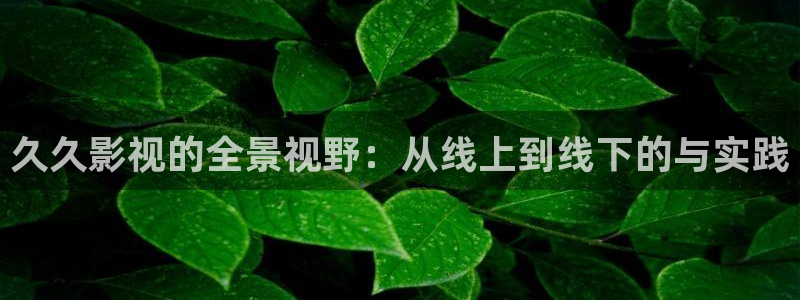 午夜麻豆限制级电影：久久影视的全景视野：从线上到线下的与实践