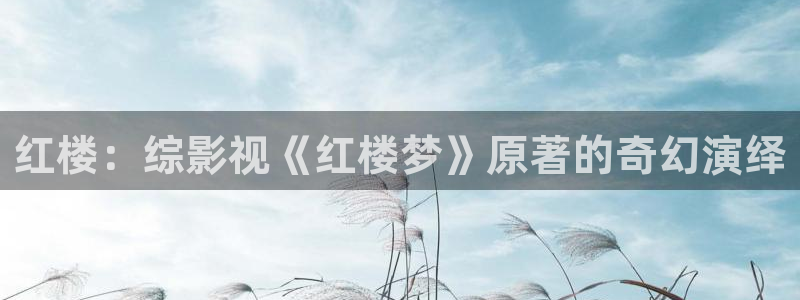 麻豆在线观看高清：红楼：综影视《红楼梦》原著的奇幻演绎
